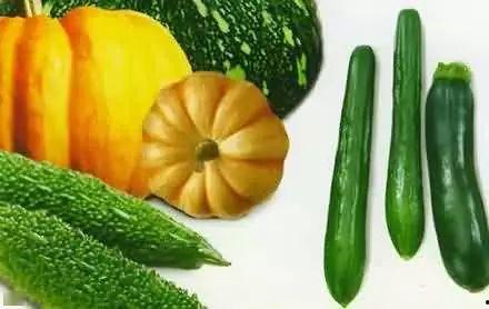 苟富贵 吃瓜,谈笑间吃瓜人生