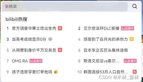 哔哩哔哩视频解析,揭秘热门内容背后的制作奥秘