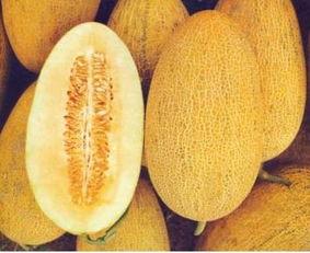 吃哈密瓜会长痘吗