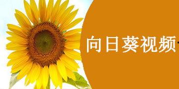 向日葵视频免费,免费畅享短视频世界的奥秘