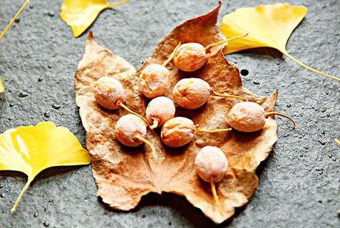 吃籽瓜降血压吗,天然降压食材的神奇功效揭秘”