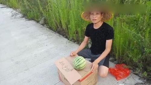 农村吃瓜妇女,闲话家常，品味乡村生活